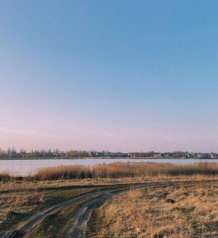8 Refreshing Ideas for Peaceful Weekend Mornings